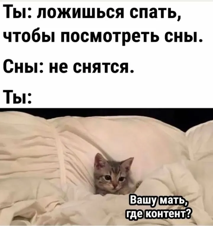IMG_20220413_182238.webp
