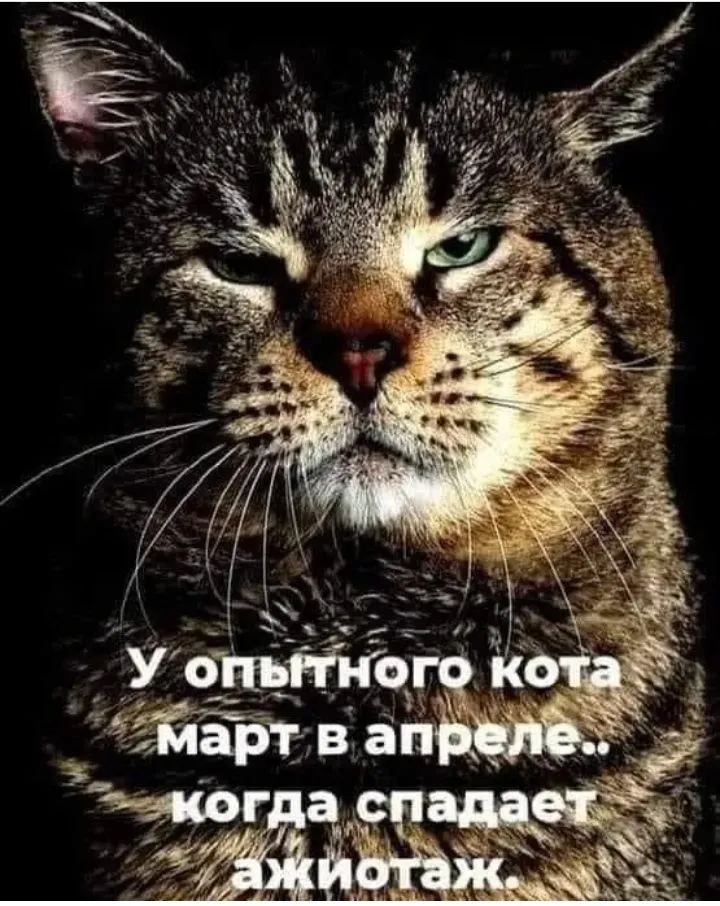 IMG_20220415_212517.webp