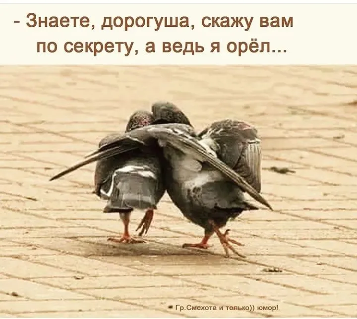 IMG_20220416_202135.webp