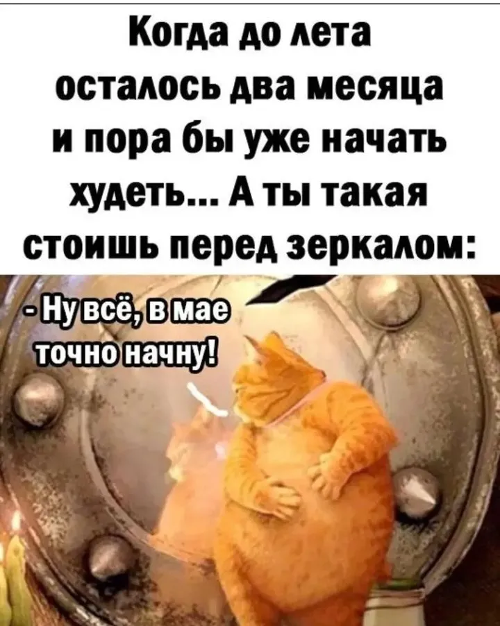 IMG_20220418_213347.webp