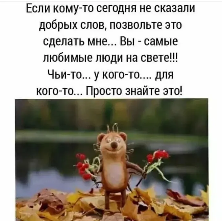 IMG_20220420_232410.webp