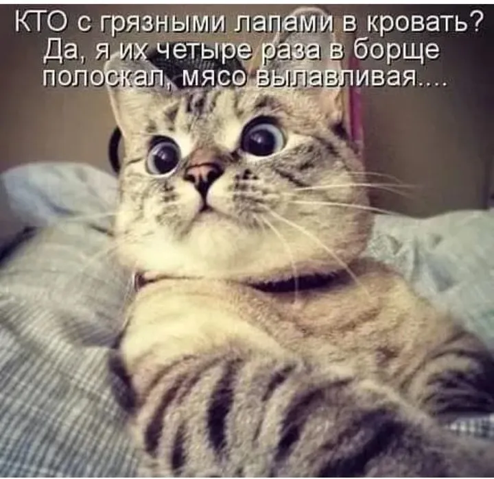 IMG_20220425_115627.webp