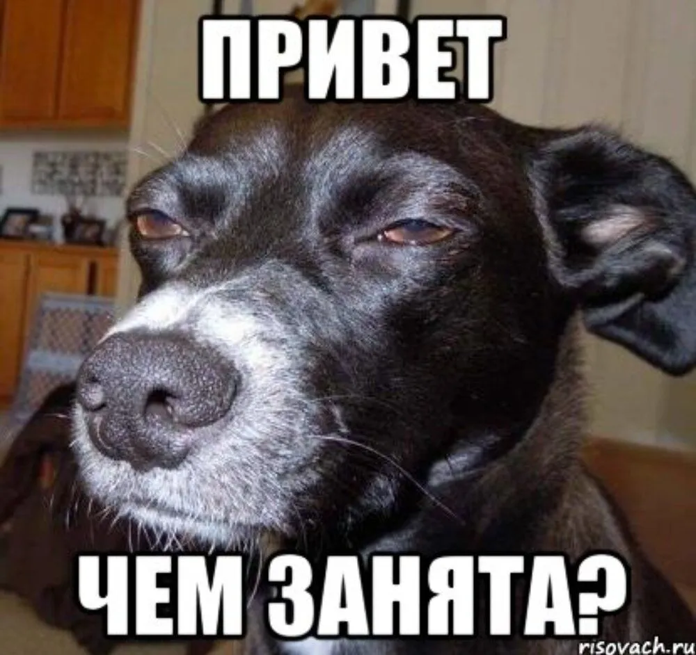 IMG_20220425_120159.webp