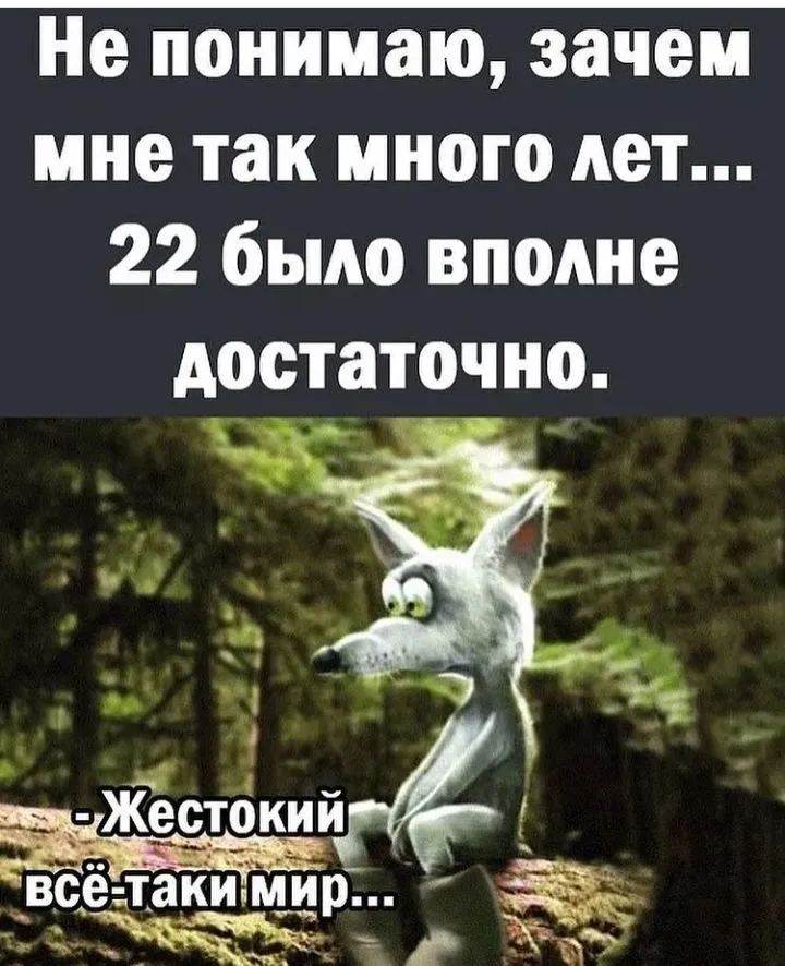 IMG_20220427_152841.webp