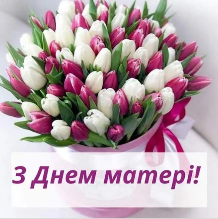 IMG_20220508_111801.webp
