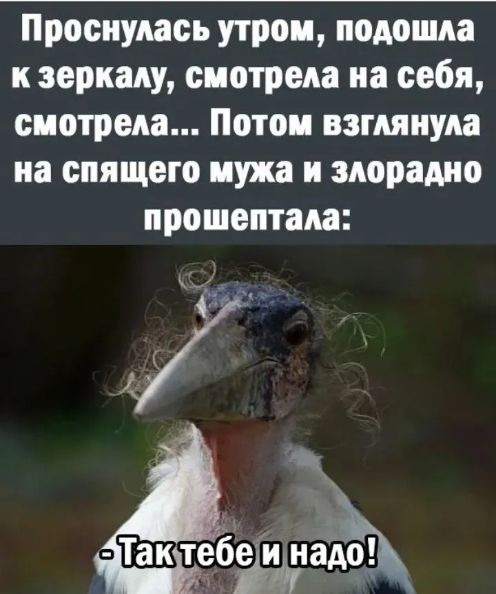 IMG_20220512_194032.webp
