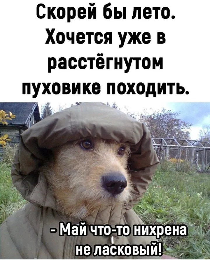 IMG_20220521_181554.webp
