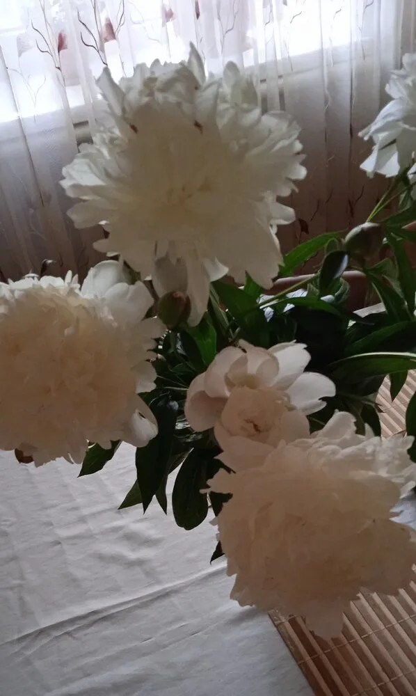 IMG_20220605_182138.webp