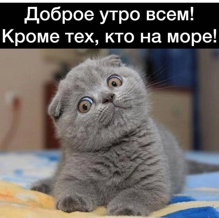IMG_20220611_071151.webp