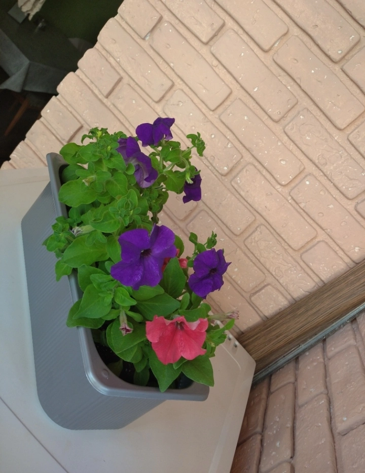 IMG_20220616_202626.webp
