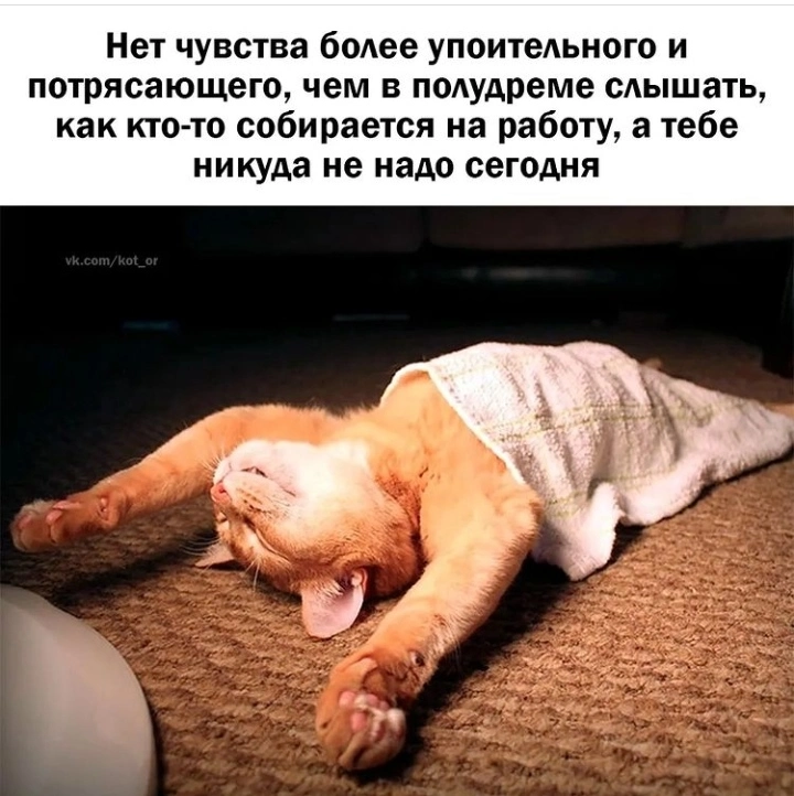IMG_20220616_232907.webp
