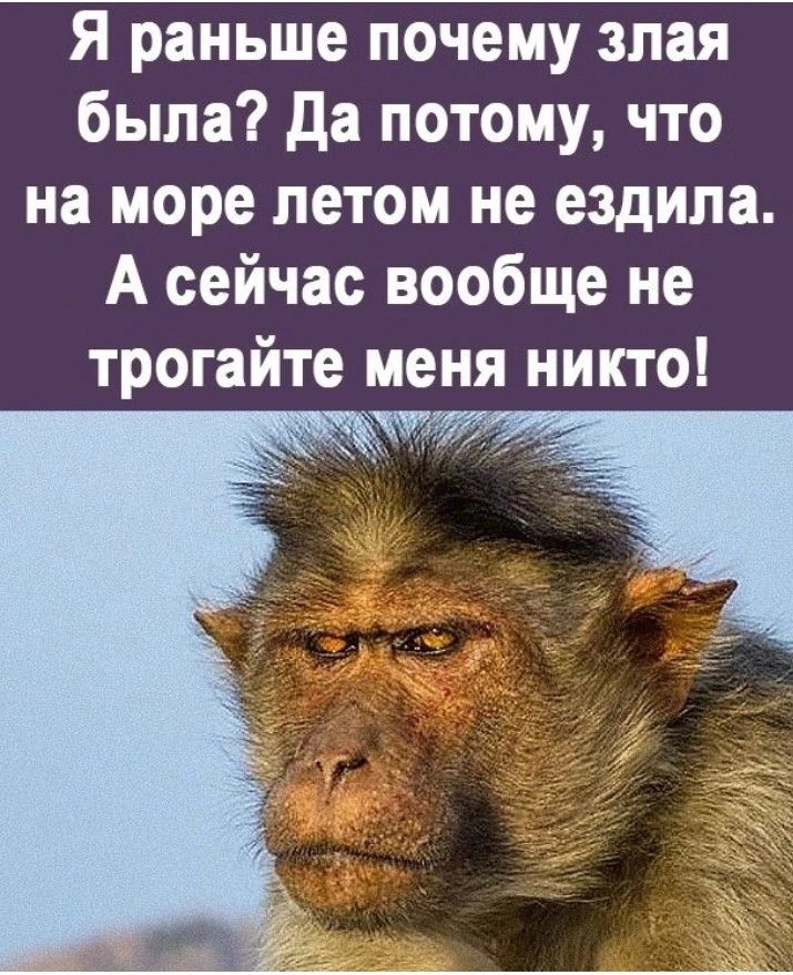 IMG_20220619_163232.webp