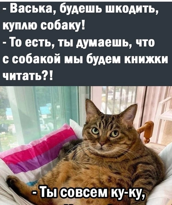 IMG_20220712_123044.webp