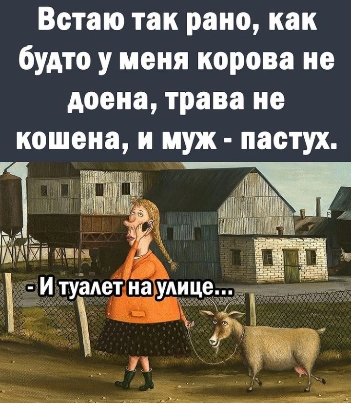 IMG_20220716_123738.webp