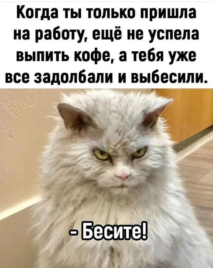 IMG_20220727_121046.webp