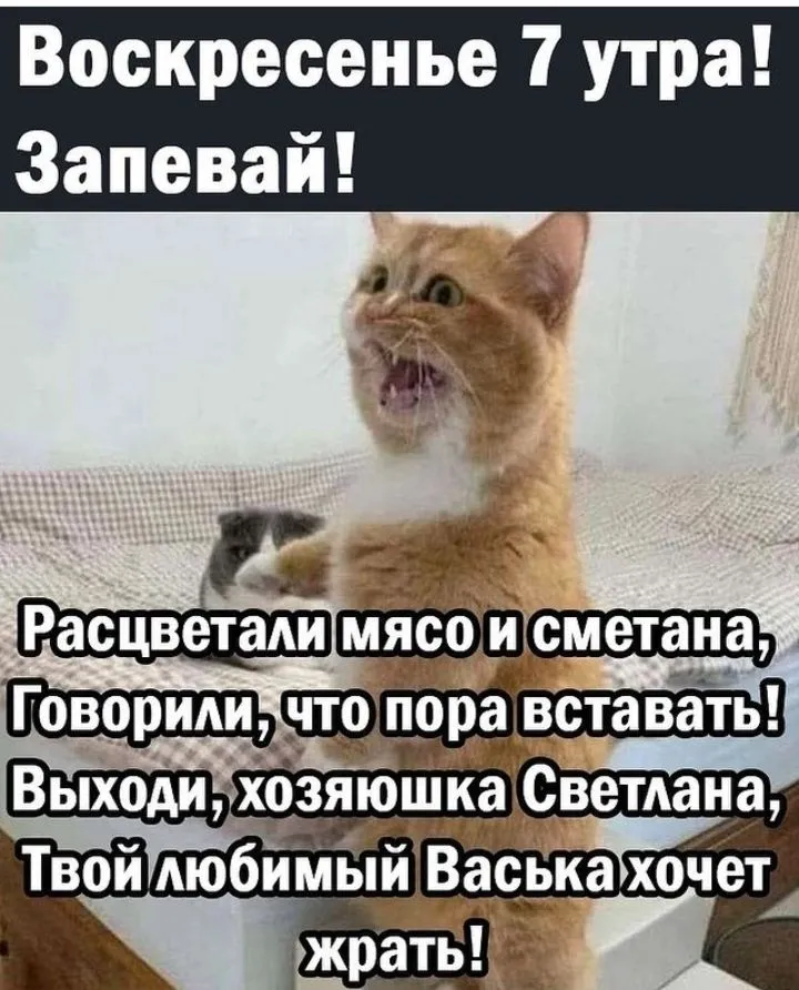 IMG_20220731_102103.webp