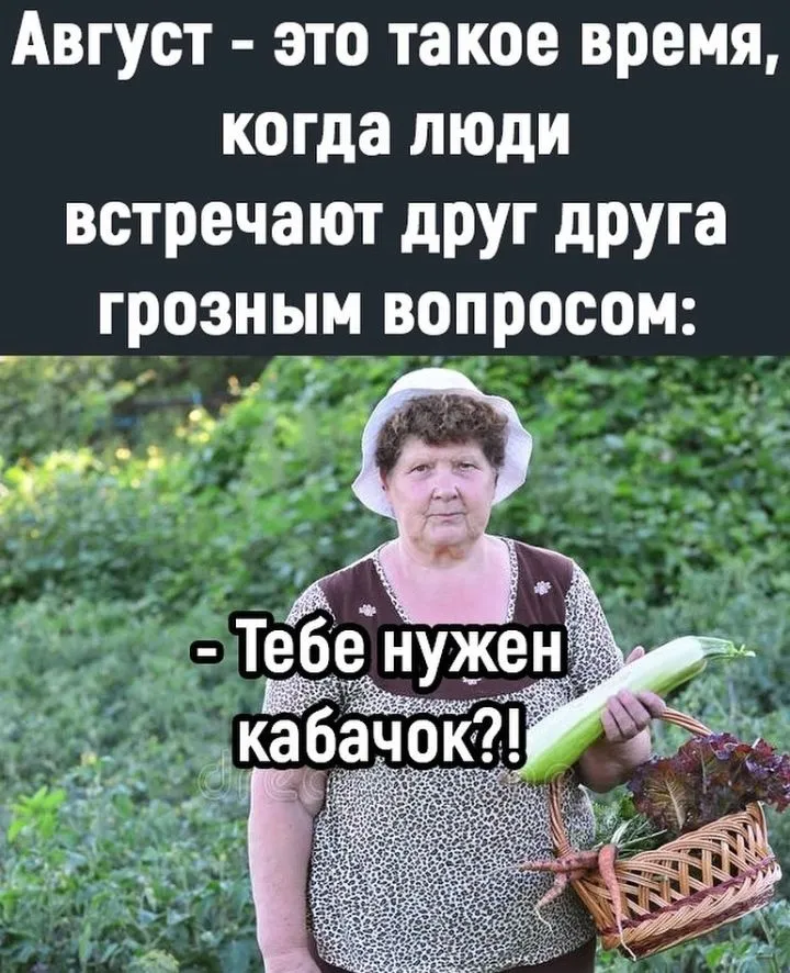 IMG_20220805_124008.webp