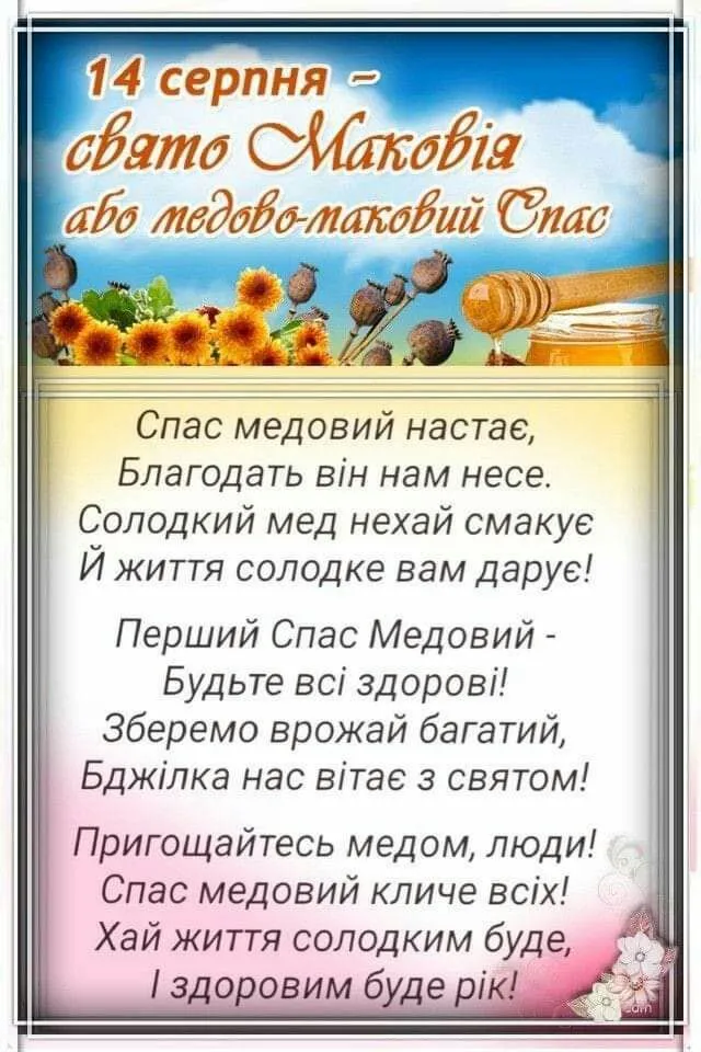 IMG_20220814_074444_780.webp
