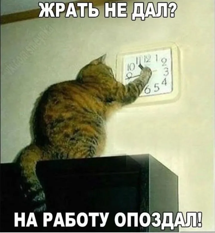 IMG_20220817_194553.webp
