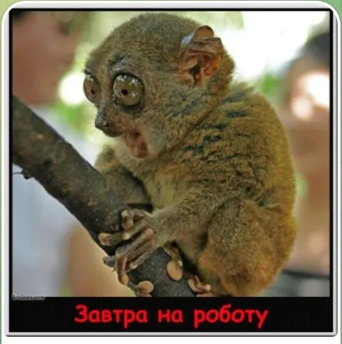 IMG_20220821_091012.webp