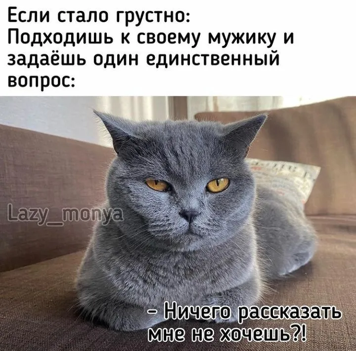 IMG_20220825_192922.webp