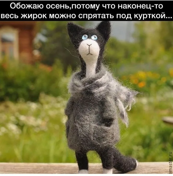IMG_20220908_191429.webp
