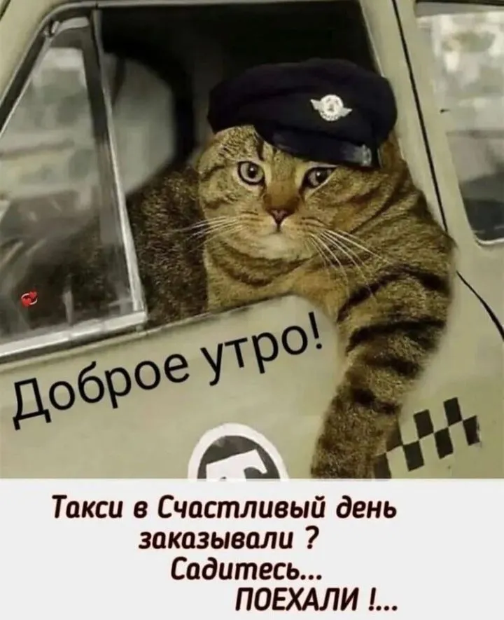 IMG_20220916_214502.webp