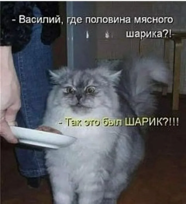 IMG_20220917_223559.webp