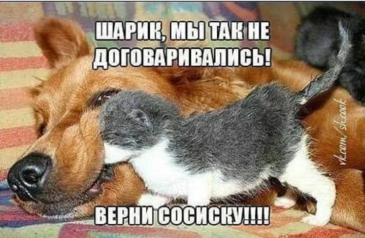 IMG_20220917_224157.webp