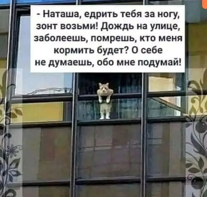 IMG_20220927_062558.webp