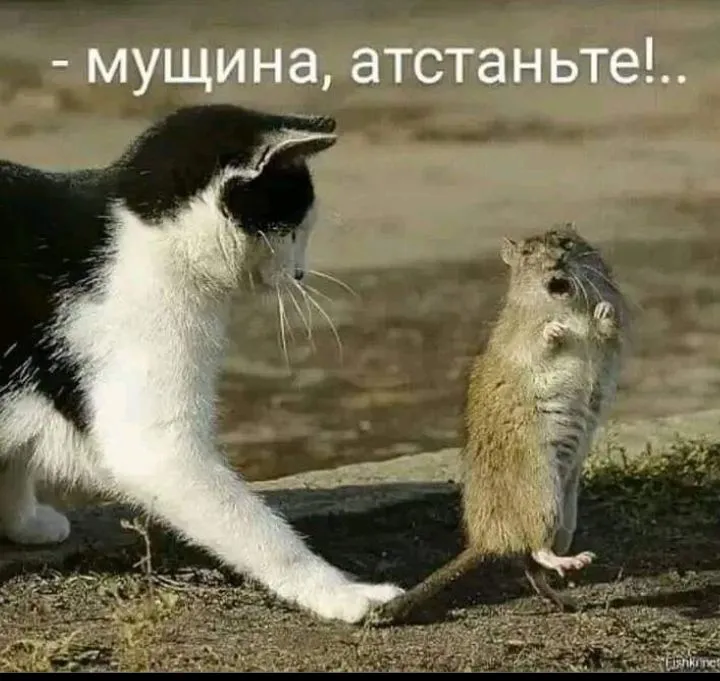 IMG_20220929_144936.webp