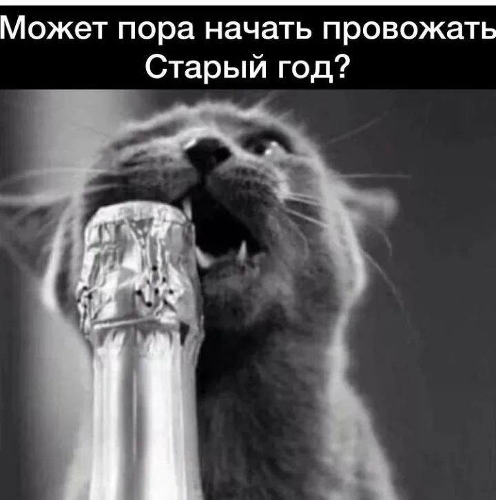 IMG_20220929_185923.webp