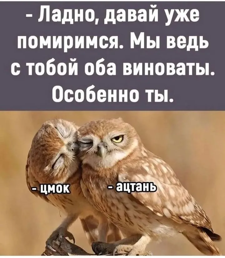 IMG_20221006_163041.webp
