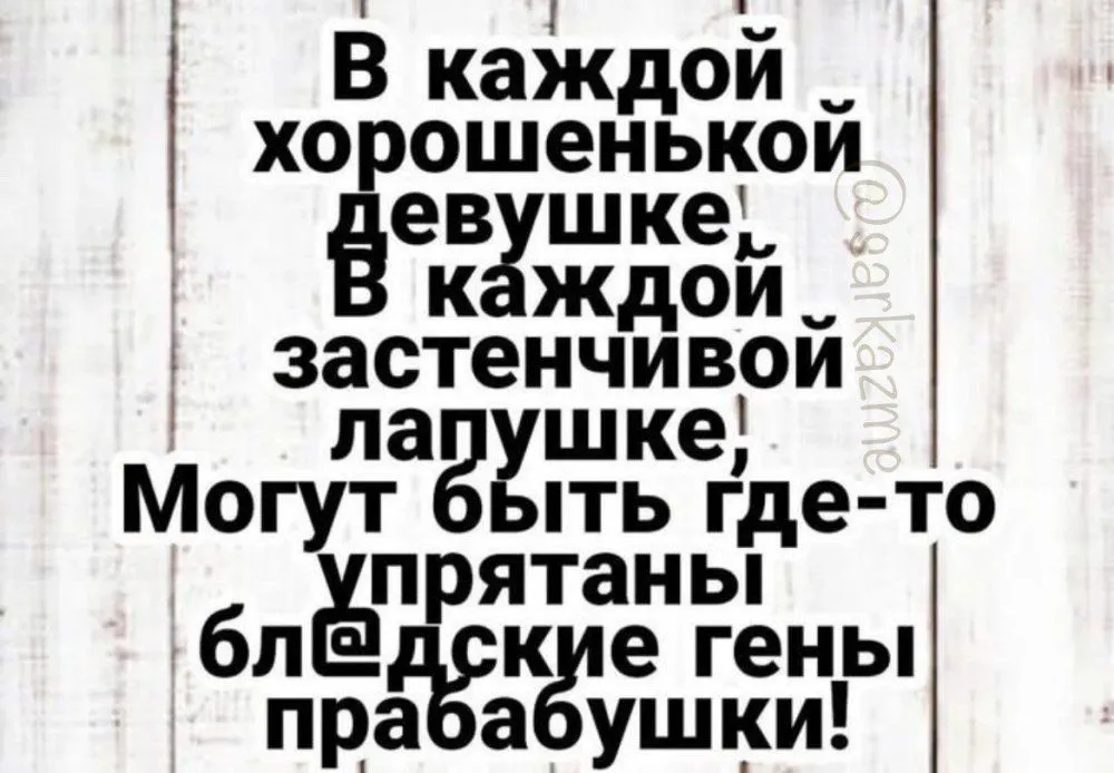 IMG_20221030_204408_254.webp