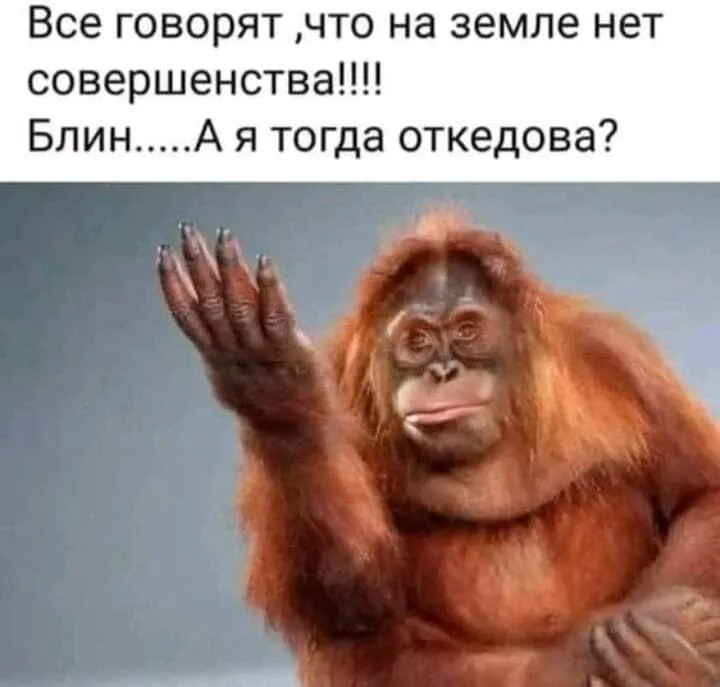 IMG_20230531_030019-world9.spcs.bio.webp
