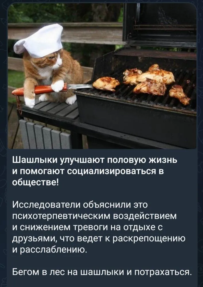 IMG_20230602_175509.webp