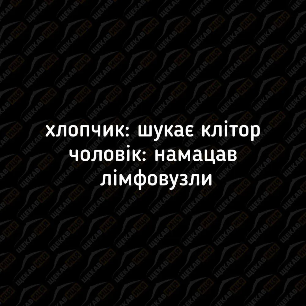 IMG_20230606_114153_779.webp