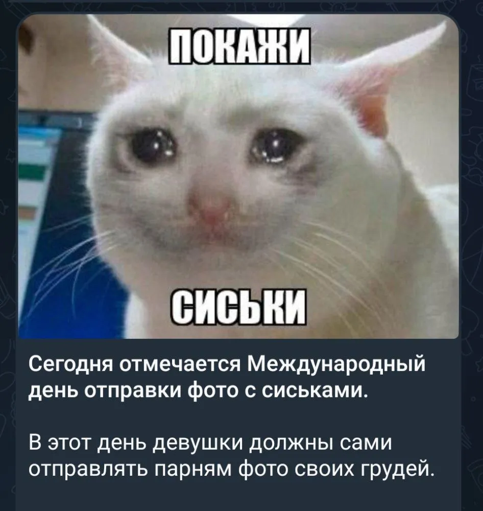 IMG_20230615_182431.webp