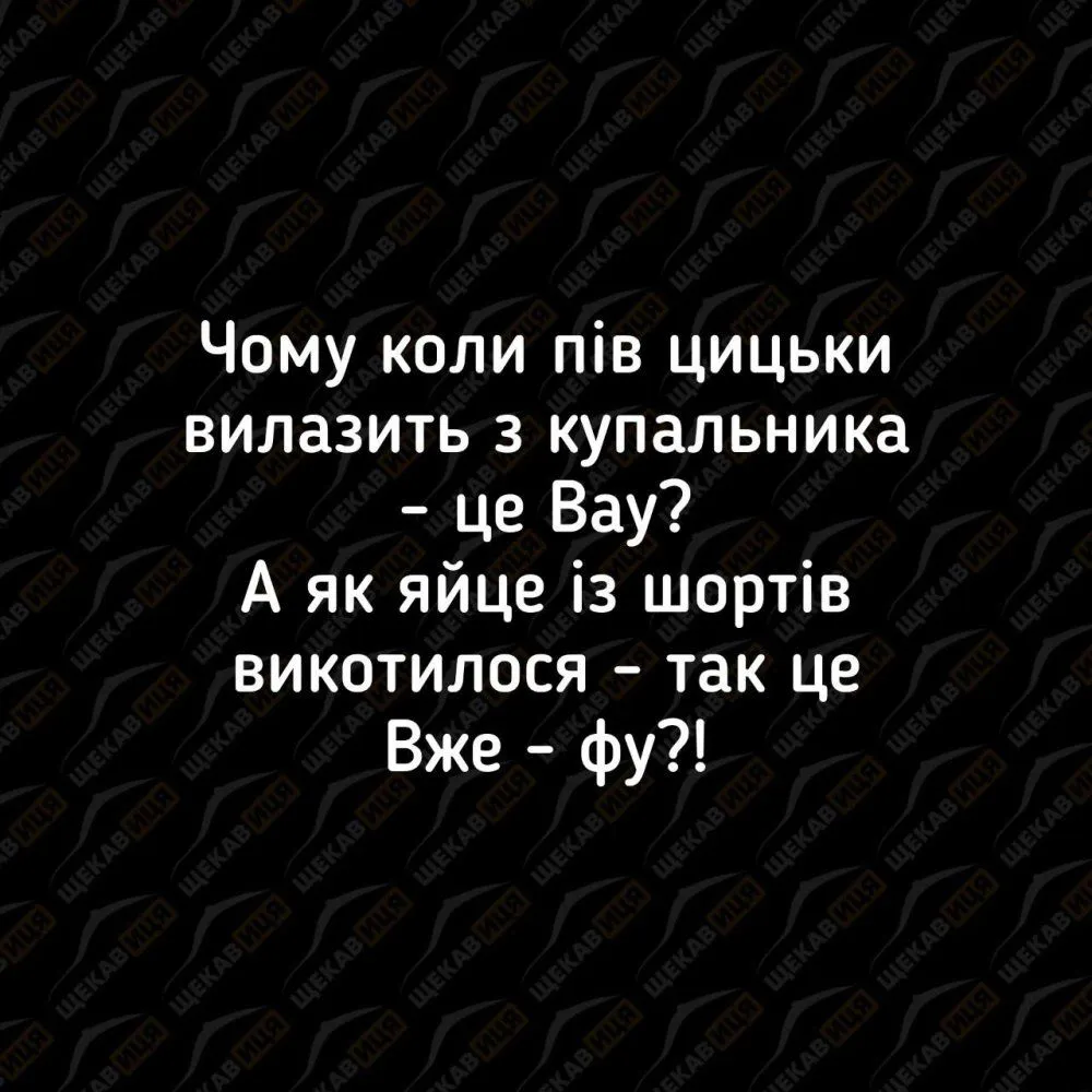IMG_20230620_155153_423.webp