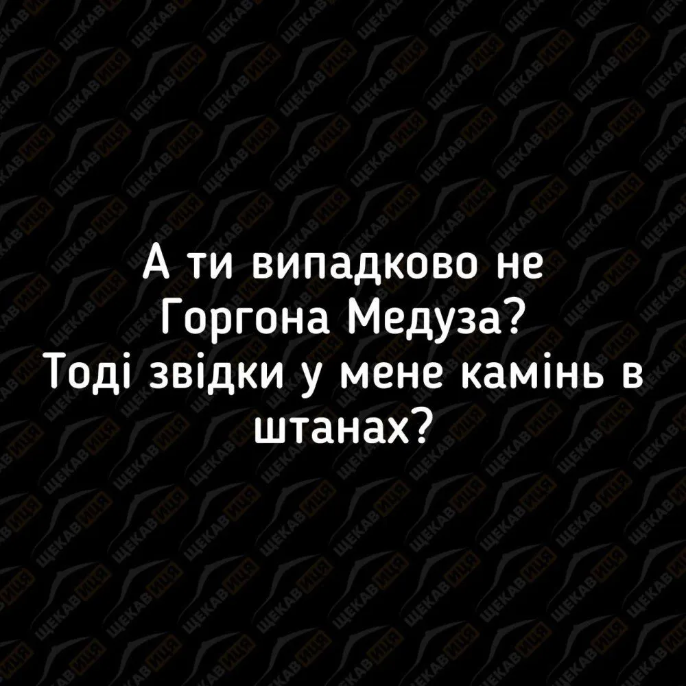 IMG_20230626_115159_799.webp