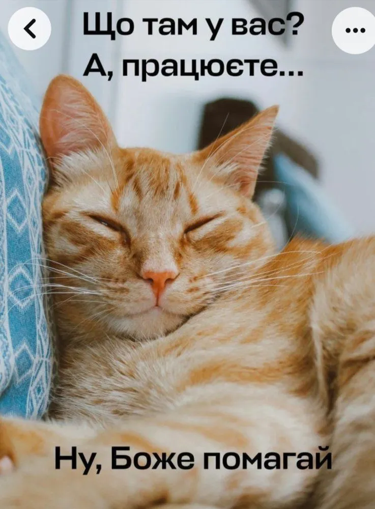 IMG_20230629_052839.webp