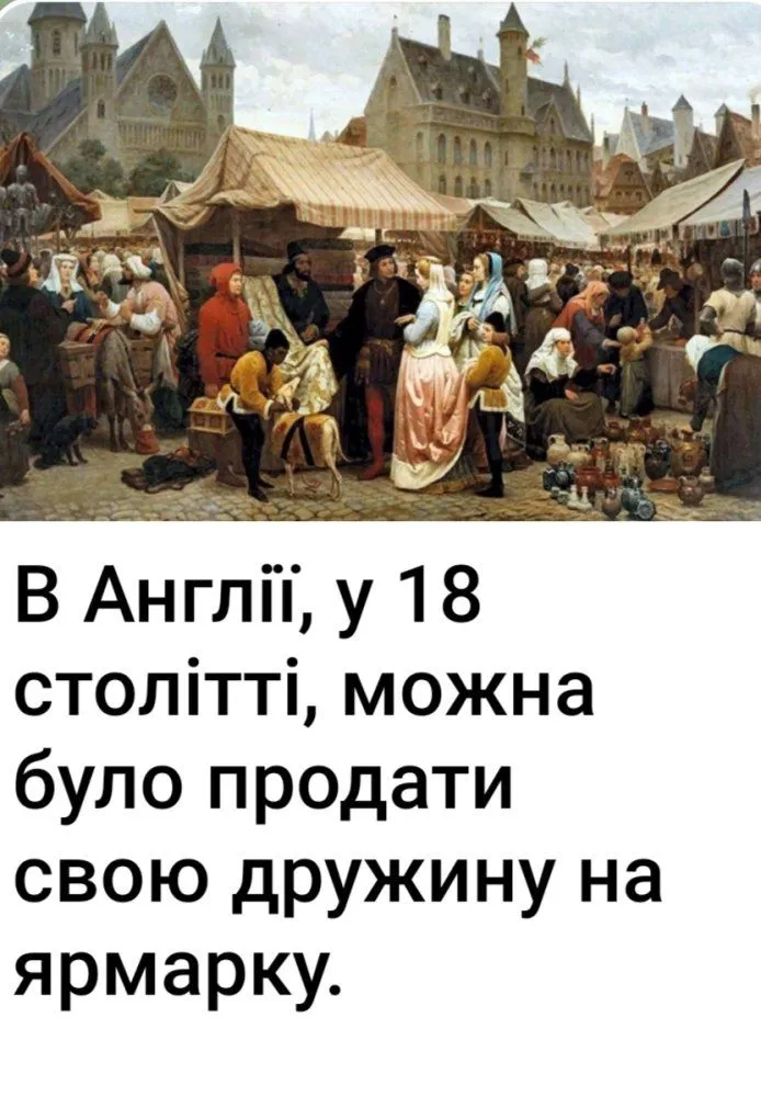 IMG_20230629_111007.webp