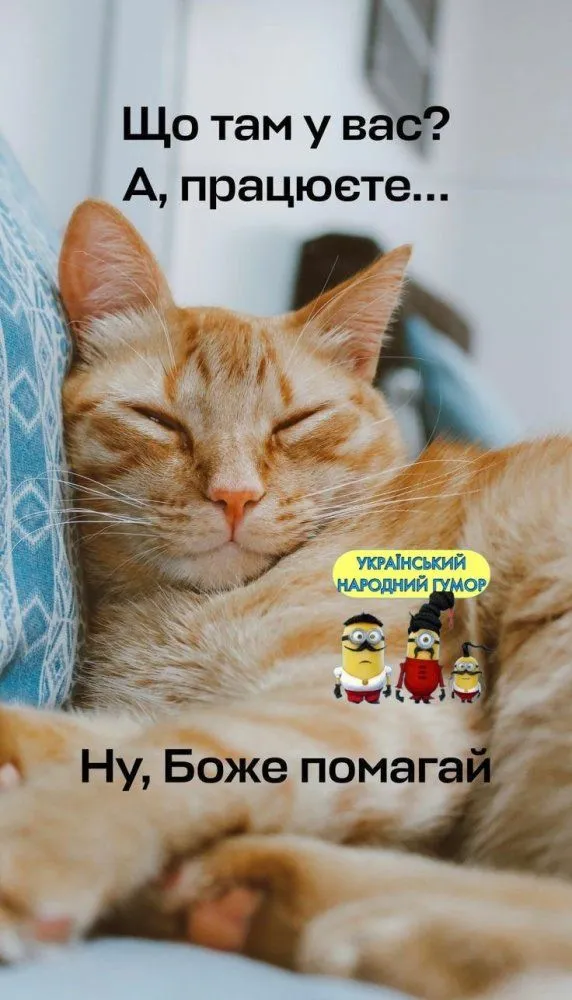 IMG_20230718_070608.webp