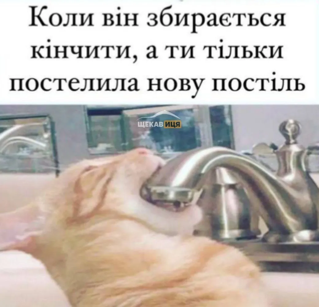 IMG_20230719_161720_144.webp