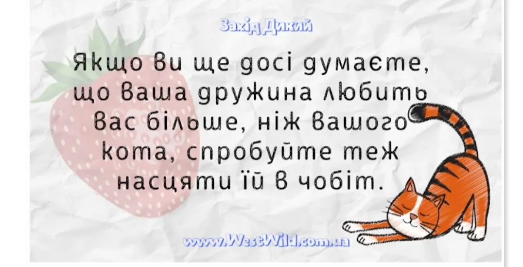IMG_20230723_151037.webp