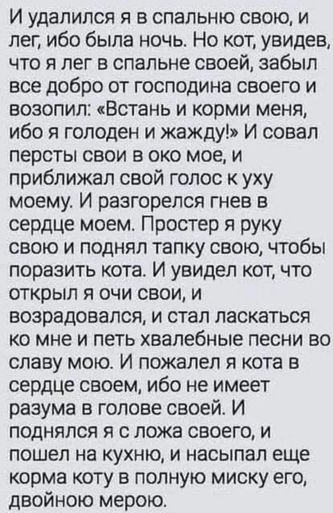IMG_20230830_203438.webp