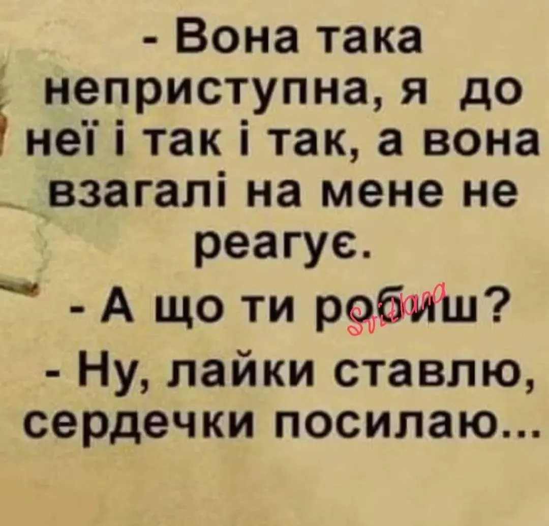 IMG_20240111_031036.webp