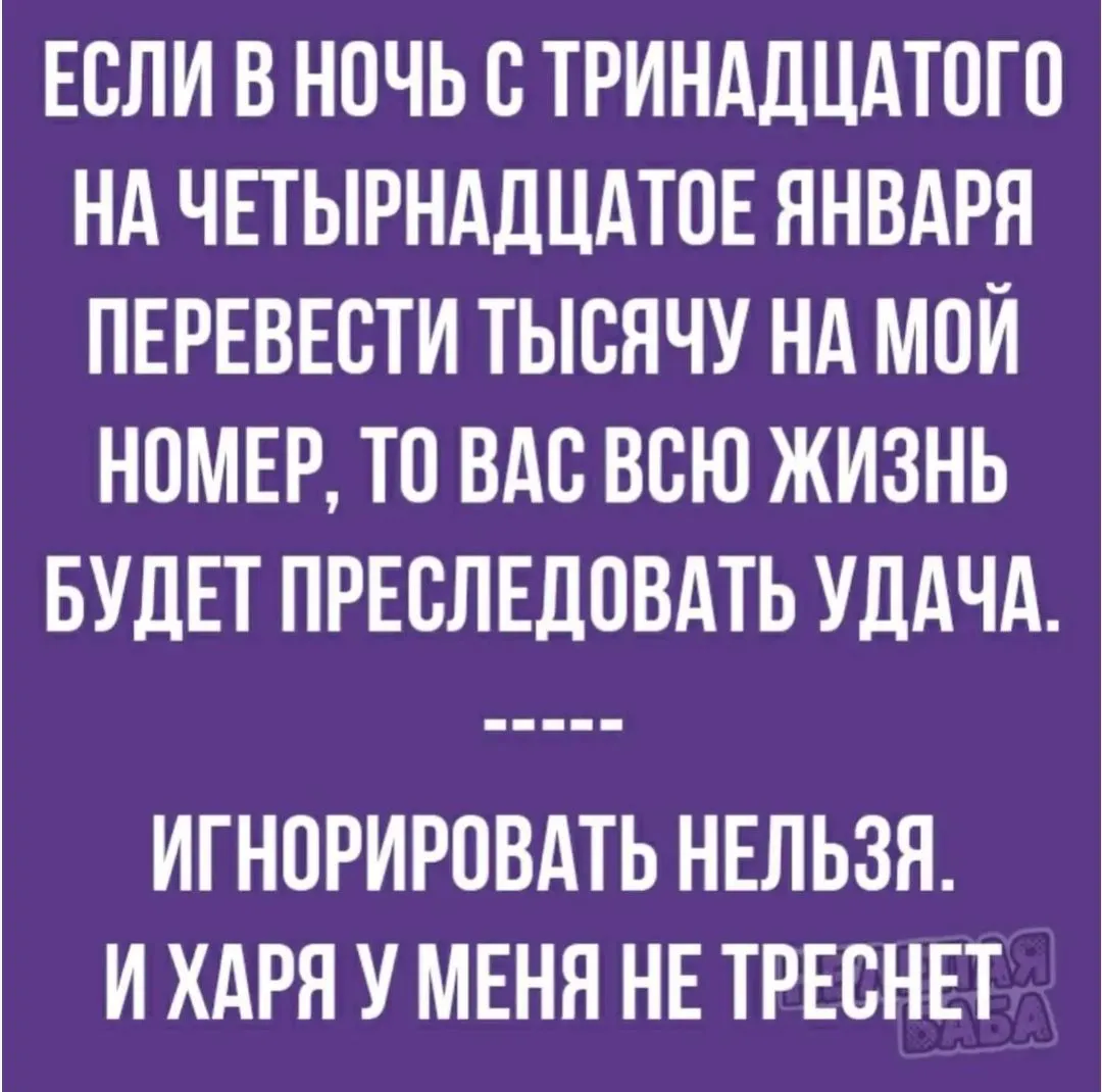 IMG_20240114_104243.webp