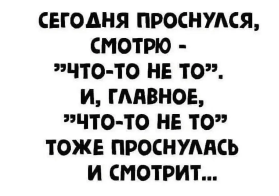IMG_20240115_190439.webp
