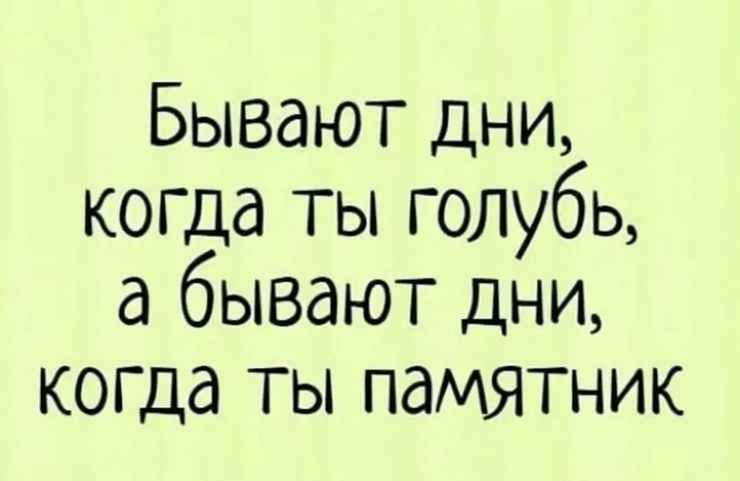 IMG_20240115_190640.webp